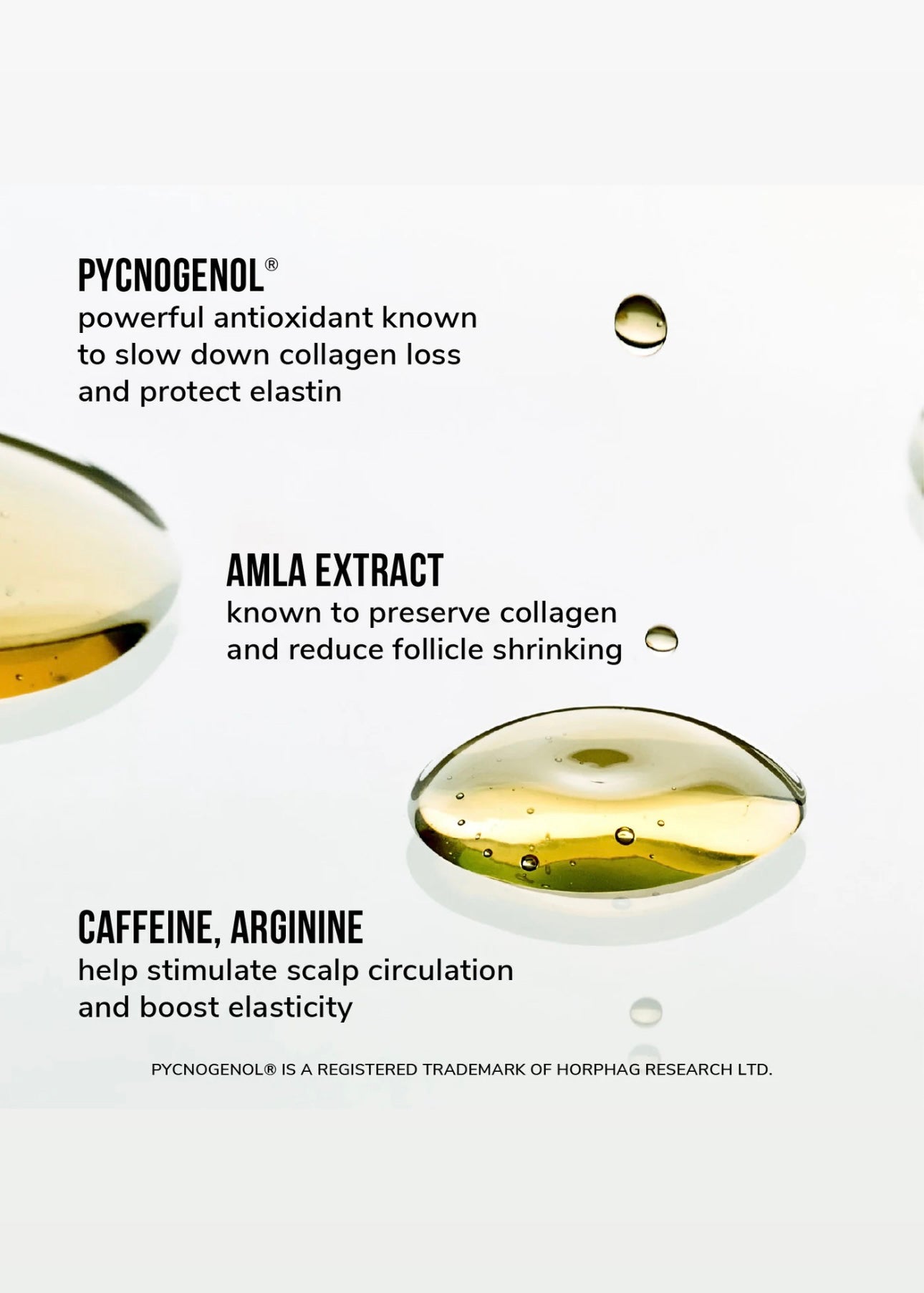 Color Wow Youth Juice Collagen Scalp Treatment
